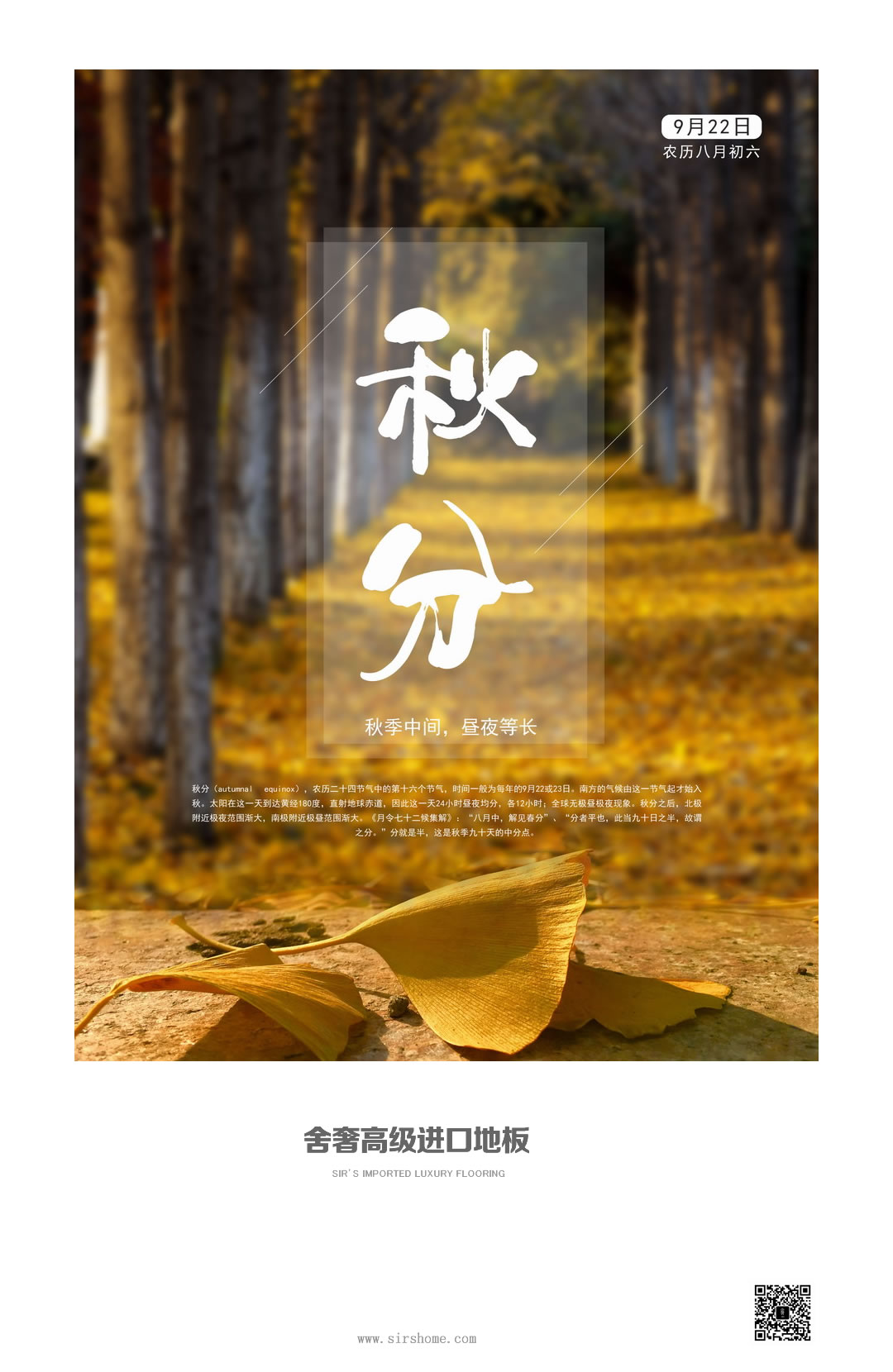 OK秋分-银杏.jpg