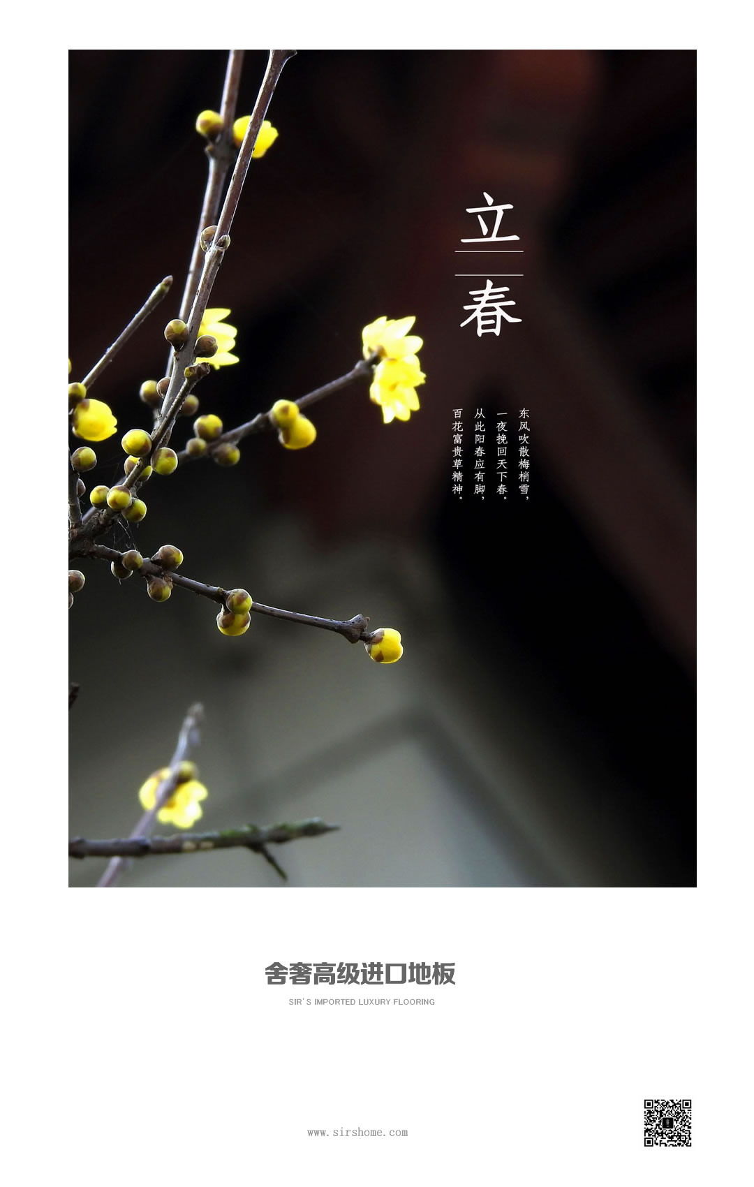 二十四节气立春梅花OK.jpg